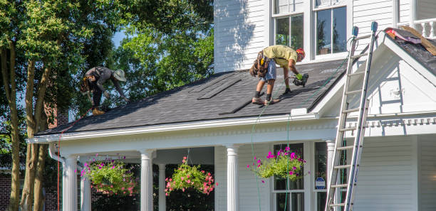 Best Roof Gutter Cleaning  in Goshen, AR